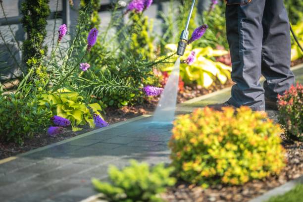 Best Winterizing Services  in Ammon, ID